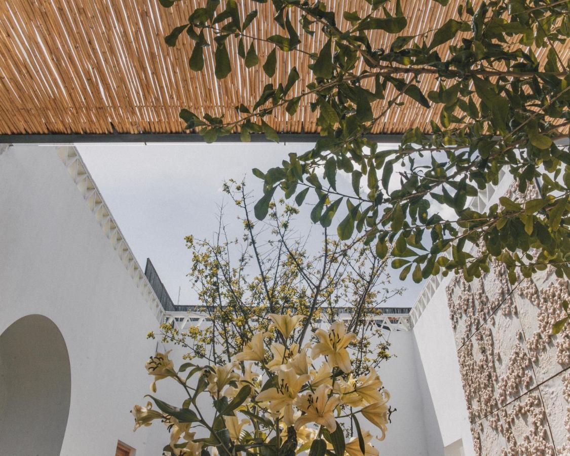 Casa Carmen Morelos Oaxaca Kültér fotó